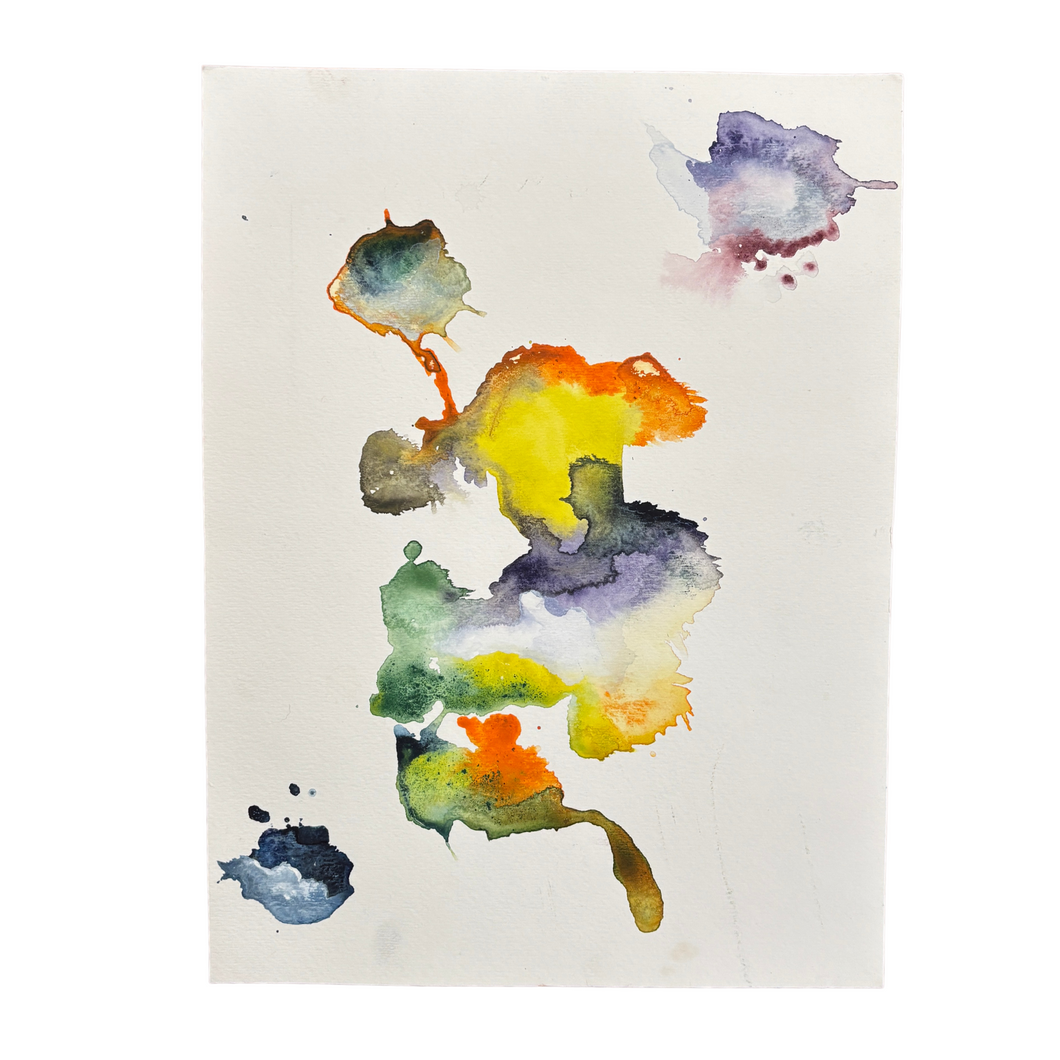 Dolphin Horse Flower Cactus Watercolor